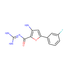 NC(N)=NC(=O)c1oc(-c2cccc(F)c2)cc1N ZINC000028822425