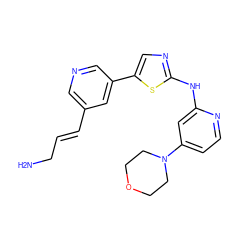 NC/C=C/c1cncc(-c2cnc(Nc3cc(N4CCOCC4)ccn3)s2)c1 ZINC000084618076