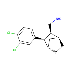 NC[C@H]1[C@H]2CC[C@@H](C2)[C@H]1c1ccc(Cl)c(Cl)c1 ZINC000100822664