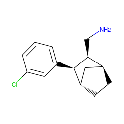 NC[C@H]1[C@H]2CC[C@@H](C2)[C@H]1c1cccc(Cl)c1 ZINC000100822756