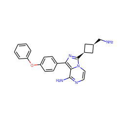 NC[C@H]1C[C@@H](c2nc(-c3ccc(Oc4ccccc4)cc3)c3c(N)nccn32)C1 ZINC000261118950