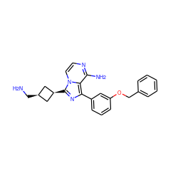 NC[C@H]1C[C@@H](c2nc(-c3cccc(OCc4ccccc4)c3)c3c(N)nccn32)C1 ZINC000253680423