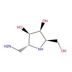 NC[C@H]1N[C@H](CO)[C@H](O)[C@@H]1O ZINC000026003633