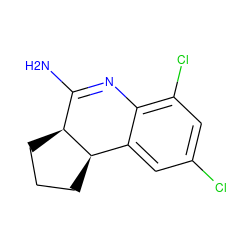 NC1=Nc2c(Cl)cc(Cl)cc2[C@H]2CCC[C@@H]12 ZINC000013817940