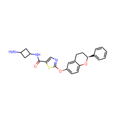 NC1CC(NC(=O)c2cnc(Oc3ccc4c(c3)CC[C@@H](c3ccccc3)O4)s2)C1 ZINC000169710668