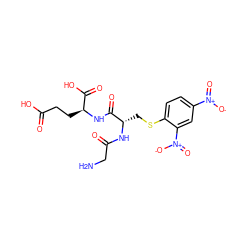 NCC(=O)N[C@@H](CSc1ccc([N+](=O)[O-])cc1[N+](=O)[O-])C(=O)N[C@@H](CCC(=O)O)C(=O)O ZINC000004776053