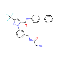 NCC(=O)NCc1cccc(-n2nc(C(F)(F)F)cc2C(=O)Nc2ccc(-c3ccccc3)cc2)c1 ZINC000040915582