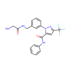 NCC(=O)NCc1cccc(-n2nc(C(F)(F)F)cc2C(=O)Nc2ccccc2)c1 ZINC000040406615