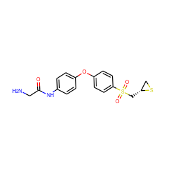 NCC(=O)Nc1ccc(Oc2ccc(S(=O)(=O)C[C@@H]3CS3)cc2)cc1 ZINC000072125930