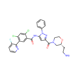 NCC[C@@H]1CN(C(=O)c2cc(NC(=O)c3cc(-c4ncccc4F)c(Cl)cc3Cl)n(-c3ccccc3)n2)CCO1 ZINC001772654332