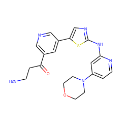 NCCC(=O)c1cncc(-c2cnc(Nc3cc(N4CCOCC4)ccn3)s2)c1 ZINC000084618732