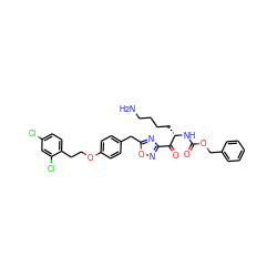 NCCCC[C@H](NC(=O)OCc1ccccc1)C(=O)c1noc(Cc2ccc(OCCc3ccc(Cl)cc3Cl)cc2)n1 ZINC000044032009