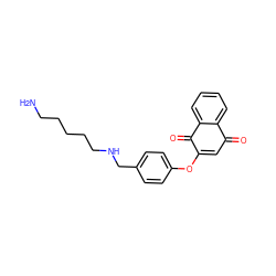 NCCCCCNCc1ccc(OC2=CC(=O)c3ccccc3C2=O)cc1 ZINC000095566063