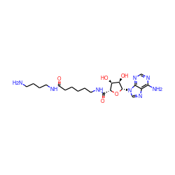 NCCCCNC(=O)CCCCCNC(=O)[C@H]1O[C@@H](n2cnc3c(N)ncnc32)[C@H](O)[C@@H]1O ZINC000040953426