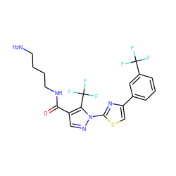 NCCCCNC(=O)c1cnn(-c2nc(-c3cccc(C(F)(F)F)c3)cs2)c1C(F)(F)F ZINC000013740067