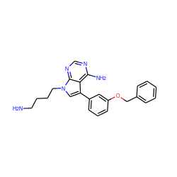 NCCCCn1cc(-c2cccc(OCc3ccccc3)c2)c2c(N)ncnc21 ZINC000203008043