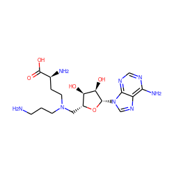 NCCCN(CC[C@H](N)C(=O)O)C[C@H]1O[C@@H](n2cnc3c(N)ncnc32)[C@H](O)[C@@H]1O ZINC000199753701