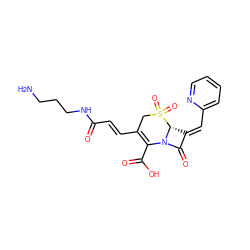 NCCCNC(=O)/C=C/C1=C(C(=O)O)N2C(=O)/C(=C/c3ccccn3)[C@H]2S(=O)(=O)C1 ZINC000013442985