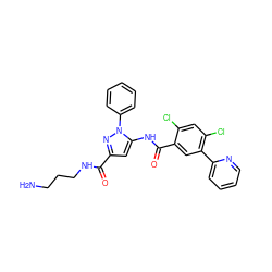 NCCCNC(=O)c1cc(NC(=O)c2cc(-c3ccccn3)c(Cl)cc2Cl)n(-c2ccccc2)n1 ZINC001772606334