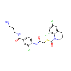 NCCCNC(=O)c1ccc(NC(=O)CSC(=O)N2CCCc3cc(Cl)cc(Cl)c32)c(Cl)c1 ZINC000043177913