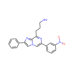 NCCCc1nc(-c2cccc([N+](=O)[O-])c2)cn2cc(-c3ccccc3)nc12 ZINC000027858832