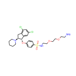 NCCOCCOCCNS(=O)(=O)c1ccc(O[C@H]2c3cc(Cl)cc(Cl)c3C[C@@H]2N2CCCCC2)cc1 ZINC000218775274