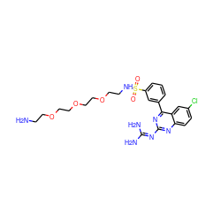 NCCOCCOCCOCCNS(=O)(=O)c1cccc(-c2nc(N=C(N)N)nc3ccc(Cl)cc23)c1 ZINC000218757444