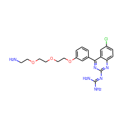 NCCOCCOCCOc1cccc(-c2nc(N=C(N)N)nc3ccc(Cl)cc23)c1 ZINC000218739047