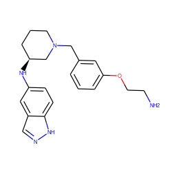 NCCOc1cccc(CN2CCC[C@H](Nc3ccc4[nH]ncc4c3)C2)c1 ZINC000114337662