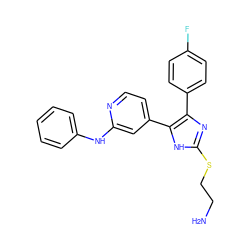 NCCSc1nc(-c2ccc(F)cc2)c(-c2ccnc(Nc3ccccc3)c2)[nH]1 ZINC001772650965