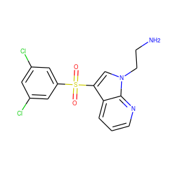 NCCn1cc(S(=O)(=O)c2cc(Cl)cc(Cl)c2)c2cccnc21 ZINC000045320070