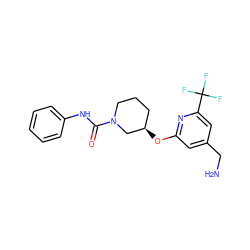 NCc1cc(O[C@@H]2CCCN(C(=O)Nc3ccccc3)C2)nc(C(F)(F)F)c1 ZINC001772570877