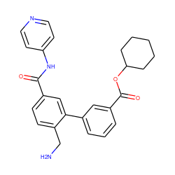 NCc1ccc(C(=O)Nc2ccncc2)cc1-c1cccc(C(=O)OC2CCCCC2)c1 ZINC000096286491