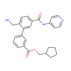 NCc1ccc(C(=O)Nc2ccncc2)cc1-c1cccc(C(=O)OCC2CCCC2)c1 ZINC000096286496