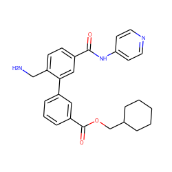NCc1ccc(C(=O)Nc2ccncc2)cc1-c1cccc(C(=O)OCC2CCCCC2)c1 ZINC000096286495