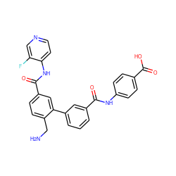 NCc1ccc(C(=O)Nc2ccncc2F)cc1-c1cccc(C(=O)Nc2ccc(C(=O)O)cc2)c1 ZINC000299855279