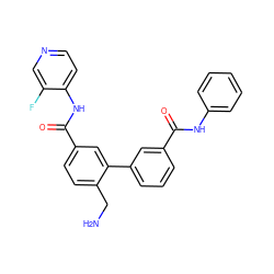 NCc1ccc(C(=O)Nc2ccncc2F)cc1-c1cccc(C(=O)Nc2ccccc2)c1 ZINC000299865563