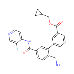 NCc1ccc(C(=O)Nc2ccncc2F)cc1-c1cccc(C(=O)OCC2CC2)c1 ZINC000096286486