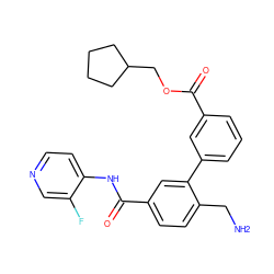 NCc1ccc(C(=O)Nc2ccncc2F)cc1-c1cccc(C(=O)OCC2CCCC2)c1 ZINC000096286494