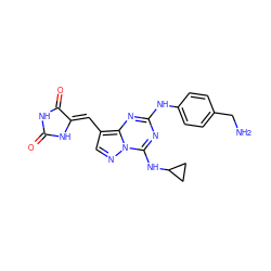 NCc1ccc(Nc2nc(NC3CC3)n3ncc(/C=C4\NC(=O)NC4=O)c3n2)cc1 ZINC000205031686