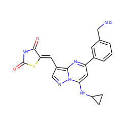 NCc1cccc(-c2cc(NC3CC3)n3ncc(/C=C4\SC(=O)NC4=O)c3n2)c1 ZINC000144749954