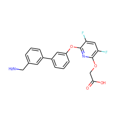 NCc1cccc(-c2cccc(Oc3nc(OCC(=O)O)c(F)cc3F)c2)c1 ZINC000205195870