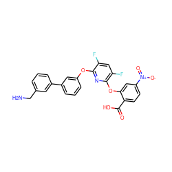 NCc1cccc(-c2cccc(Oc3nc(Oc4cc([N+](=O)[O-])ccc4C(=O)O)c(F)cc3F)c2)c1 ZINC000045318005