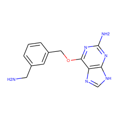 NCc1cccc(COc2nc(N)nc3[nH]cnc23)c1 ZINC000036294315