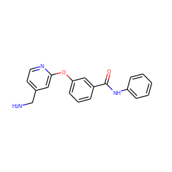 NCc1ccnc(Oc2cccc(C(=O)Nc3ccccc3)c2)c1 ZINC001772593390