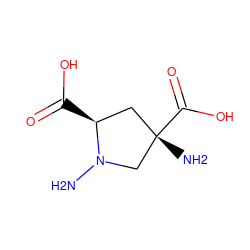 NN1C[C@@](N)(C(=O)O)C[C@@H]1C(=O)O ZINC000026578760