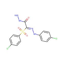 NNC(=O)/C(=N/Nc1ccc(Cl)cc1)S(=O)(=O)c1ccc(Cl)cc1 ZINC000015990003