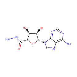 NNC(=O)[C@H]1O[C@@H](n2cnc3c(N)ncnc32)[C@H](O)[C@@H]1O ZINC000013686330