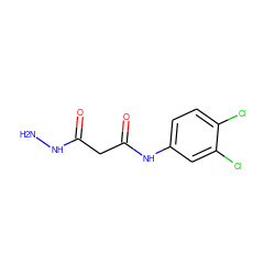 NNC(=O)CC(=O)Nc1ccc(Cl)c(Cl)c1 ZINC000032579325