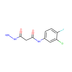 NNC(=O)CC(=O)Nc1ccc(F)c(Cl)c1 ZINC000032579486